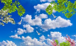 Gökyüzü-Yeşil Yapraklı-Erik Çiçeği