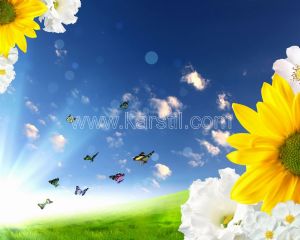 Gökyüzü-Kelebekli-Ayçekirdeği Çiçekli